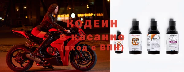 прущие грибы Абинск
