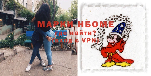 прущие грибы Абинск