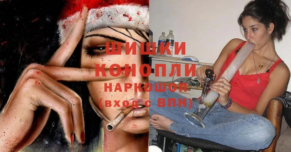 прущие грибы Абинск