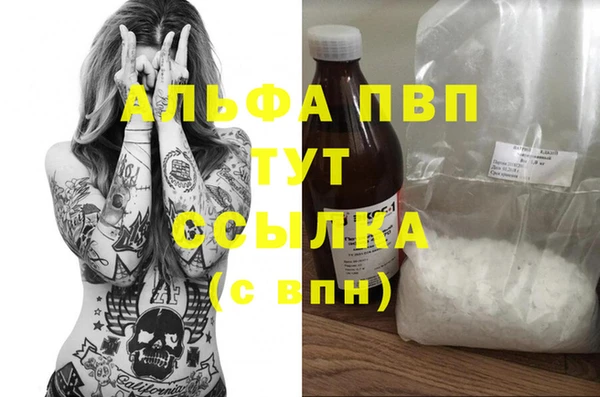 сатива Куйбышев