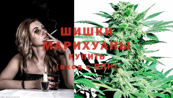 прущая мука Дмитриев