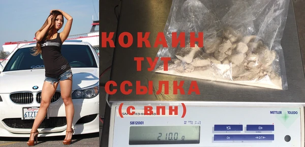 прущие грибы Абинск