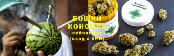 прущие грибы Абинск